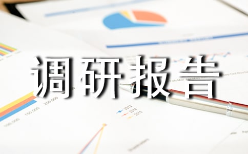 村庄规划实施管理调研报告