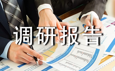 产业发展现状调研报告_调研报告