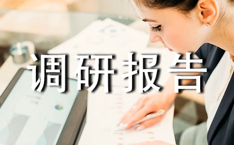 关于巴川城区市政管理的调研报告
