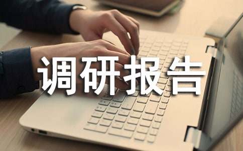 社会实践调研报告模板