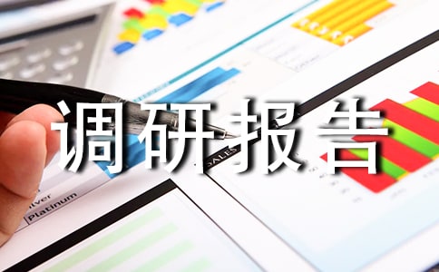 乡镇经济发展调研报告(精选15篇)
