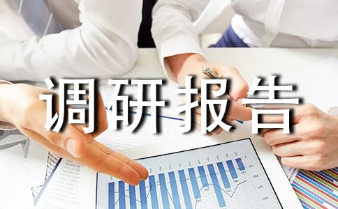 发展农村经济调研报告范文(通用10篇)