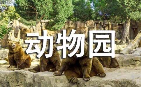 大班动物园教案(精选11篇)