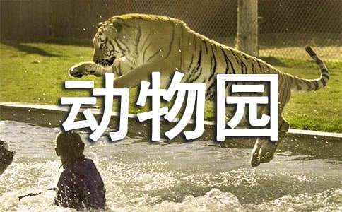 动物园的晚上语文教案教学设计