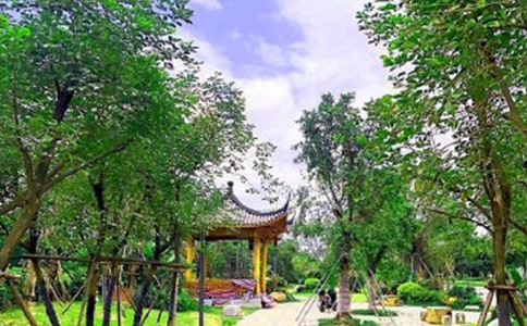 公园实习报告合集九篇