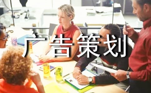 广告策划案格式参考模板