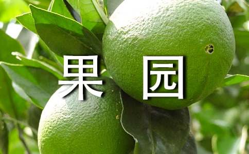 丰收的果园教案10篇