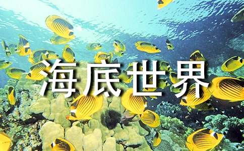 精选《海底世界》教案合集7篇