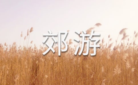 春季郊游活动方案