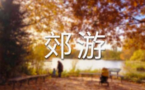 大班健康活动教案《健康郊游餐》