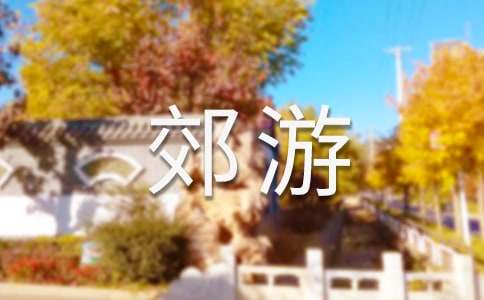 有关郊游小班教案3篇