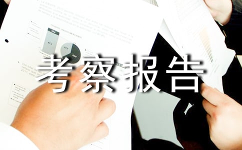 油菜移栽质量考察报告