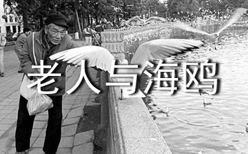 《老人与海鸥》教学设计方案