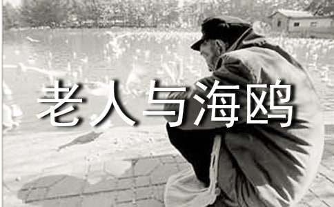 关于《老人与海鸥》教学方案参考