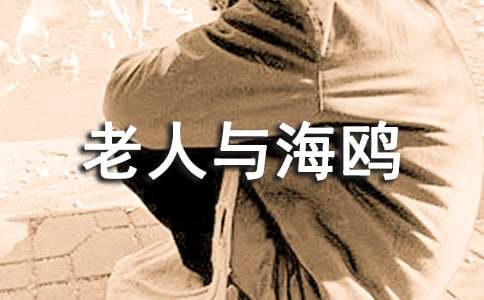 老人与海鸥的教学方案设计