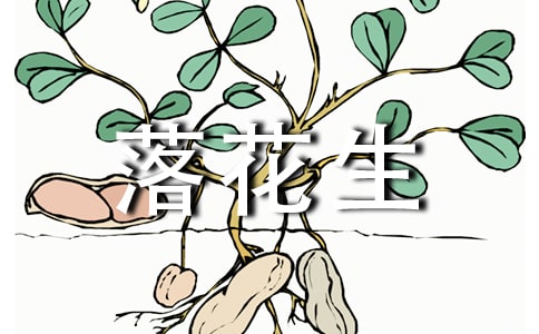 落花生说课稿(精选3篇)