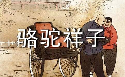2024年骆驼祥子的语录350句
