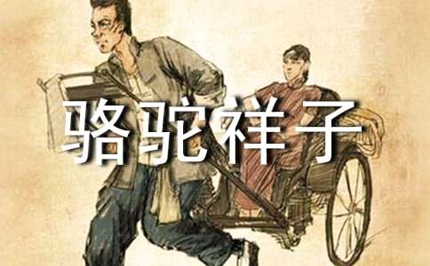 2020年骆驼祥子的语录集锦30条
