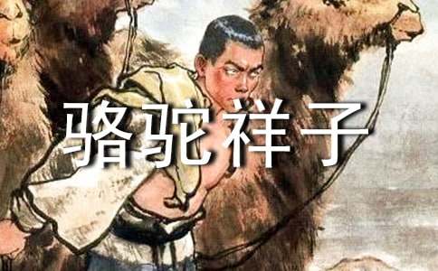 2020年骆驼祥子的语录集合35句