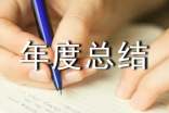 个人年度总结