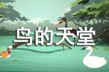 鸟的天堂优秀说课稿