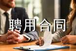 顾问聘用合同范本