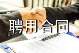 企业聘用合同范本