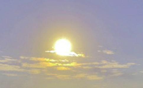 �������ճ�����ѧ��ƾ���[15ƪ]