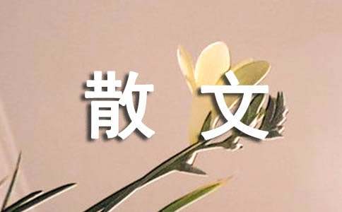 摄影的散文