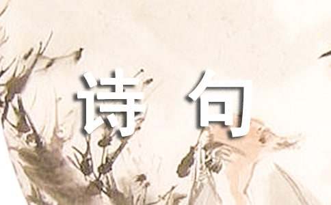 关于思念个性诗句座右铭汇总(精选50句)