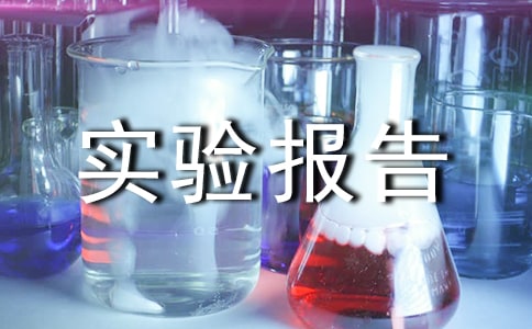 工作能力实验报告例文