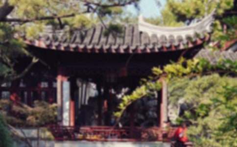 关于《苏州园林》的优秀教案集合五篇