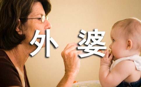 外婆学摄影作文