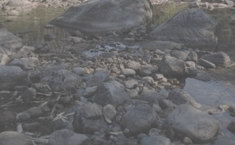 小溪流的歌教学反思