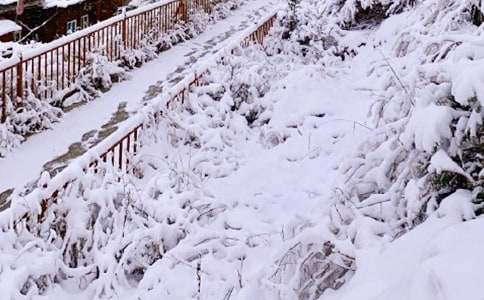 下雪了教案集锦7篇