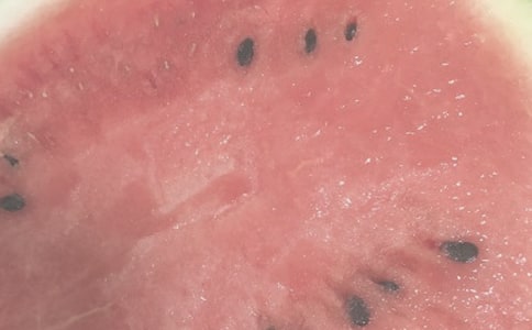 描写夏日的诗词名句