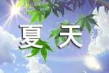 夏天的主题活动方案