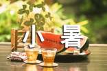 小暑节气问候语摘录49条