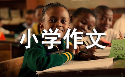 日行一善活动感想小学作文