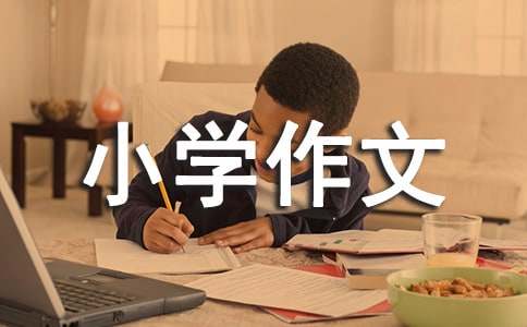 续写小摄影师小学作文