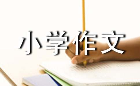 《小摄影师》续写小学作文300字