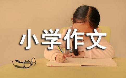小学作文之续写小摄影师