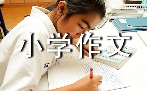 续写《小摄影师》小学作文300字