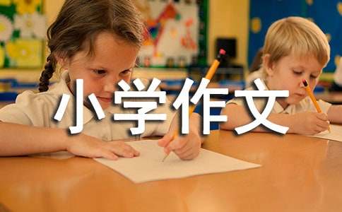 续写《小摄影师》小学作文范文