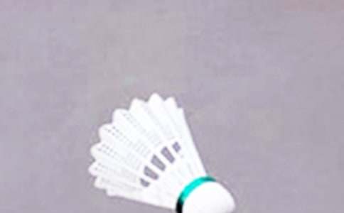 羽毛球比赛策划书15篇