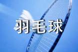 羽毛球比赛活动方案
