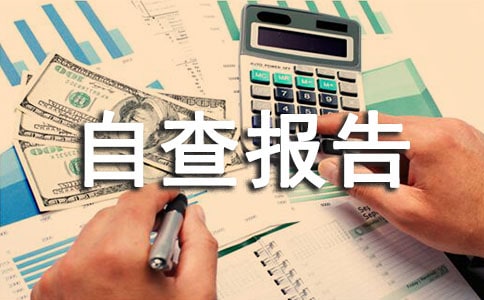法治建设工作自查报告