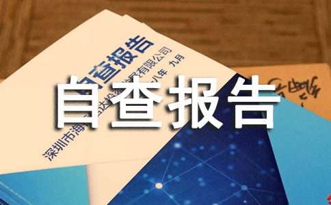 标准化工作自查报告