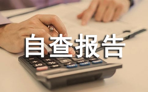工作作风整顿自查报告(通用13篇)