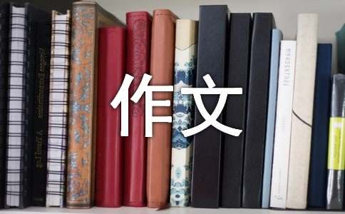 续写《小摄影师》作文(精选15篇)